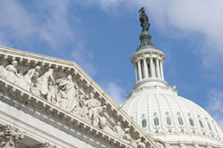 Government Buildings